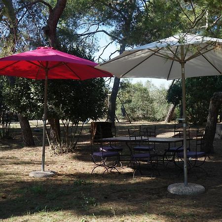 Villa Joli Mas au bord de l'étang de Thau à Marseillan  Extérieur photo