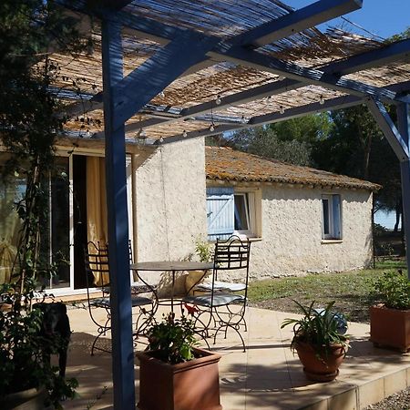 Villa Joli Mas au bord de l'étang de Thau à Marseillan  Extérieur photo