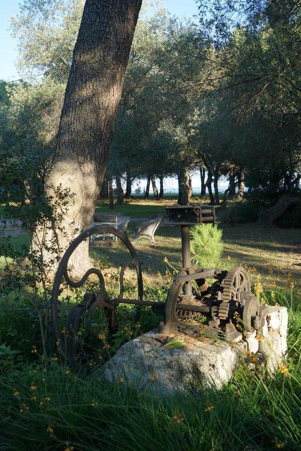 Villa Joli Mas au bord de l'étang de Thau à Marseillan  Extérieur photo