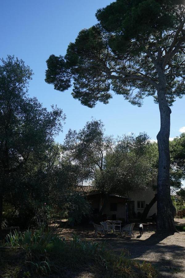 Villa Joli Mas au bord de l'étang de Thau à Marseillan  Extérieur photo