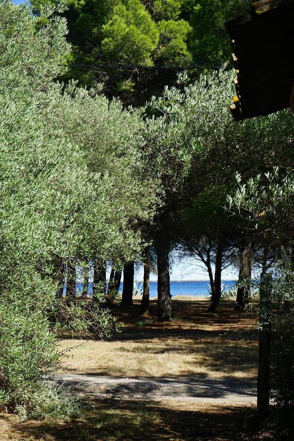 Villa Joli Mas au bord de l'étang de Thau à Marseillan  Extérieur photo