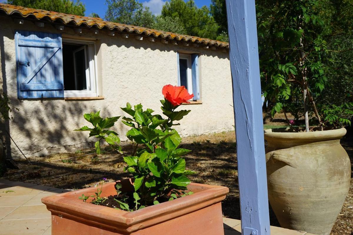 Villa Joli Mas au bord de l'étang de Thau à Marseillan  Extérieur photo