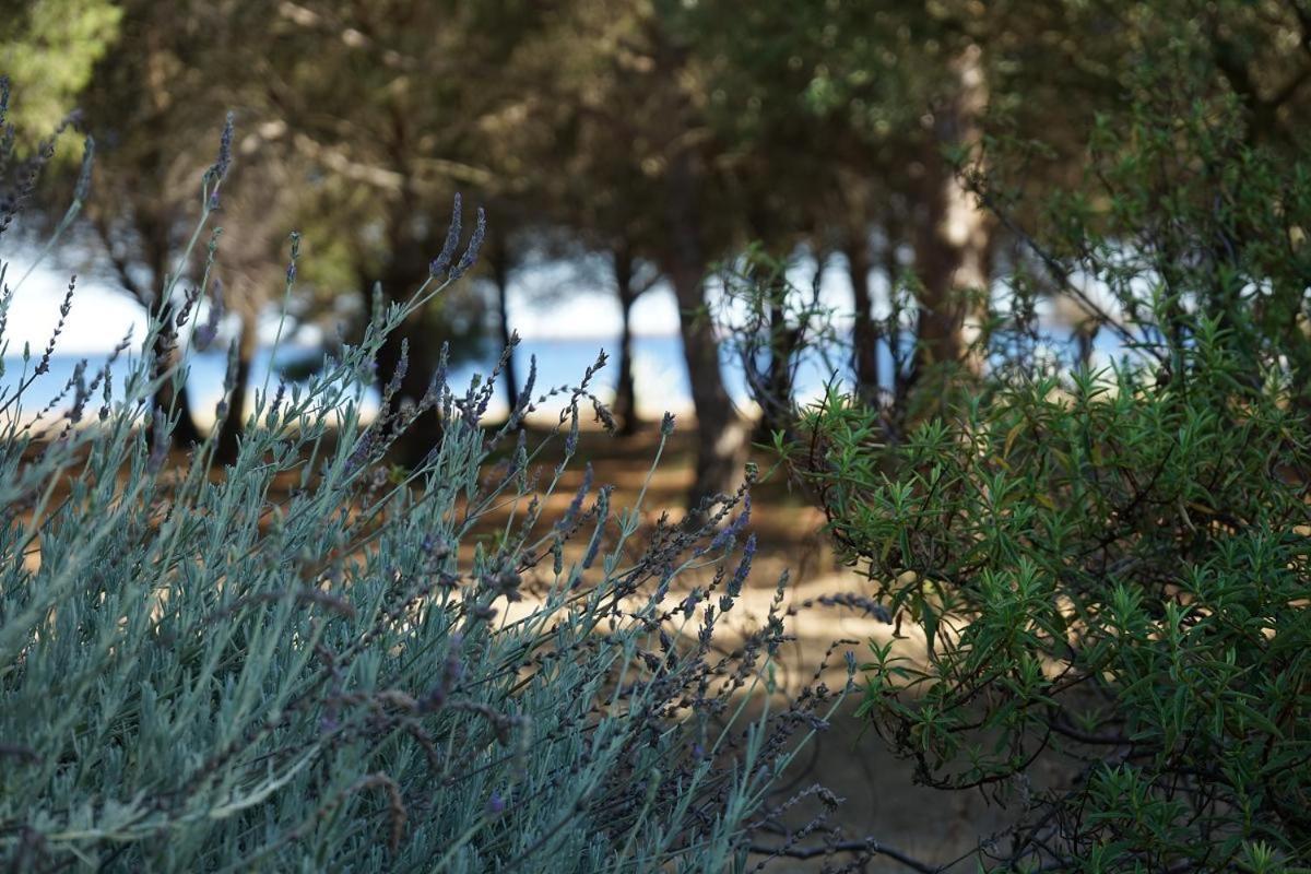 Villa Joli Mas au bord de l'étang de Thau à Marseillan  Extérieur photo