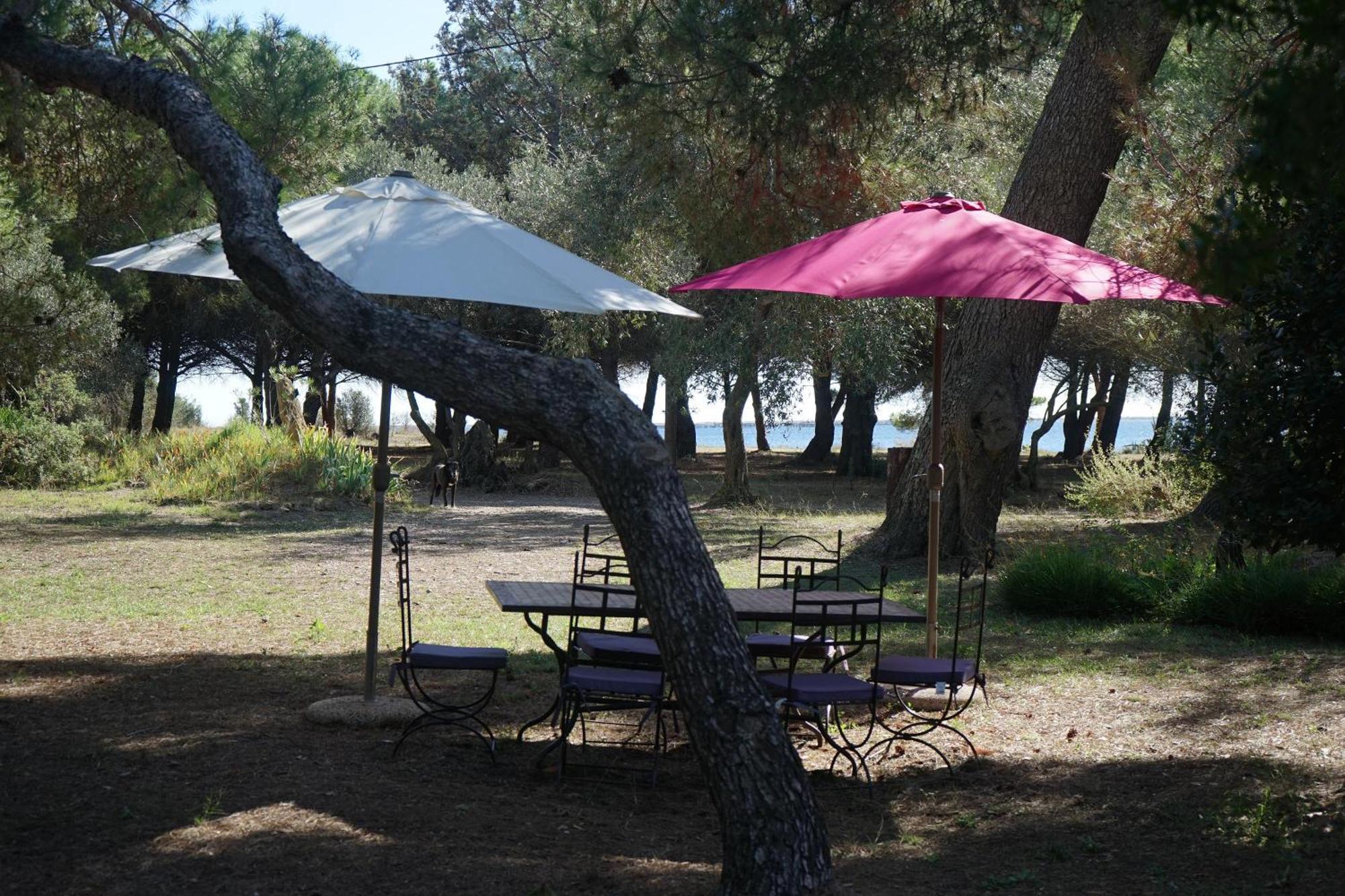 Villa Joli Mas au bord de l'étang de Thau à Marseillan  Extérieur photo
