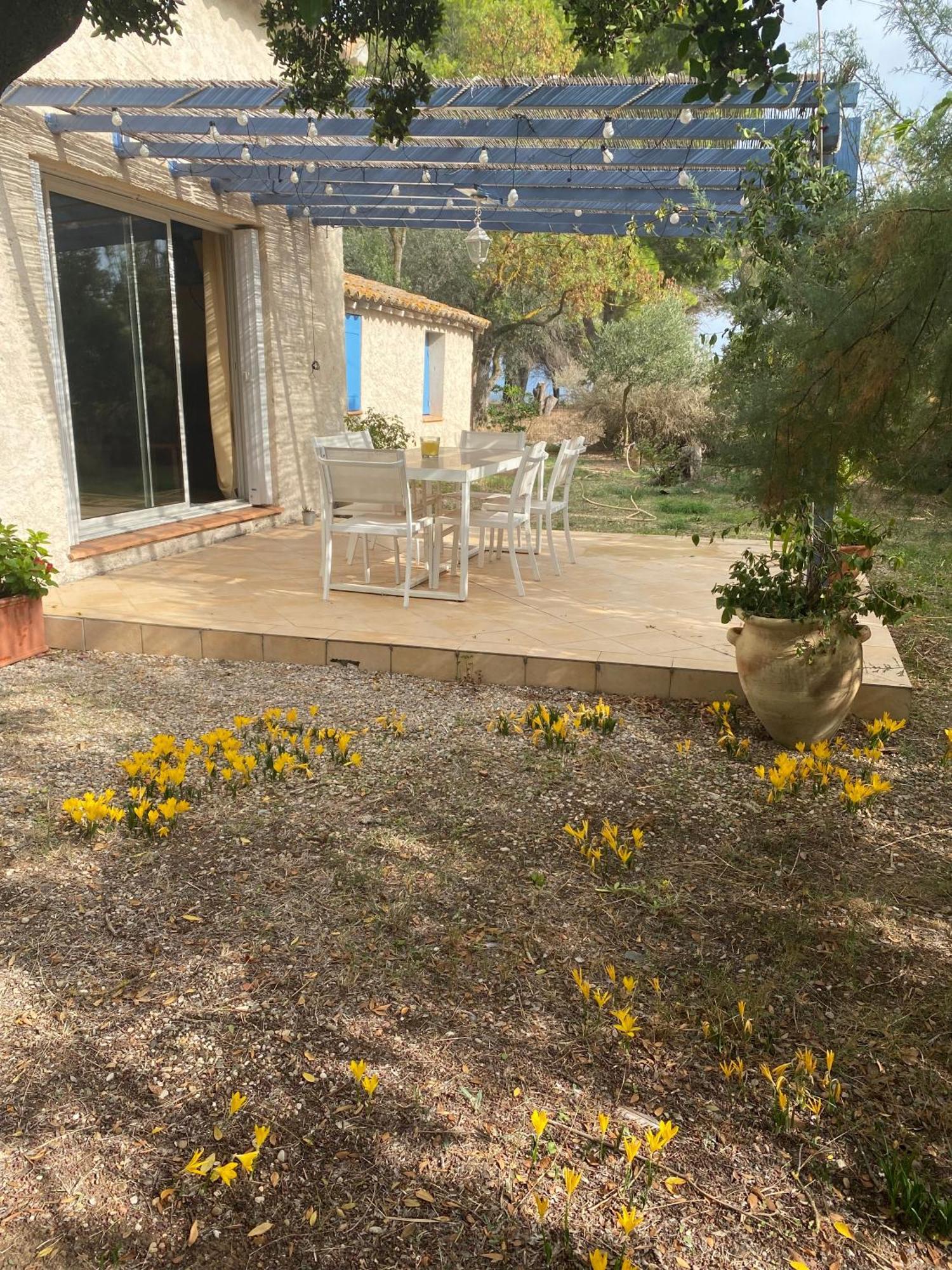 Villa Joli Mas au bord de l'étang de Thau à Marseillan  Extérieur photo
